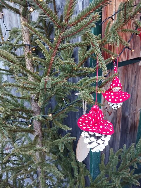 Foto: Veronika Frank