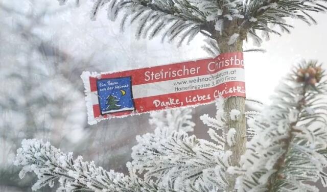 Die rot-weiß-rote Banderole "Steirischer Christbaum – Danke, liebes Christkind" garantiert die steirische Herkunft der Weihnachtsbäume.  | Foto: www.weihnachtsbaum.at