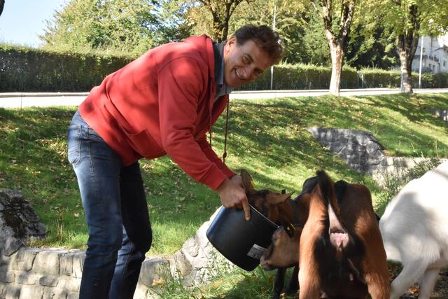 Romed Giner hat unerwartet sein Amt als Vizebürgermeister zurückgelegt. | Foto: Michael Kendlbacher