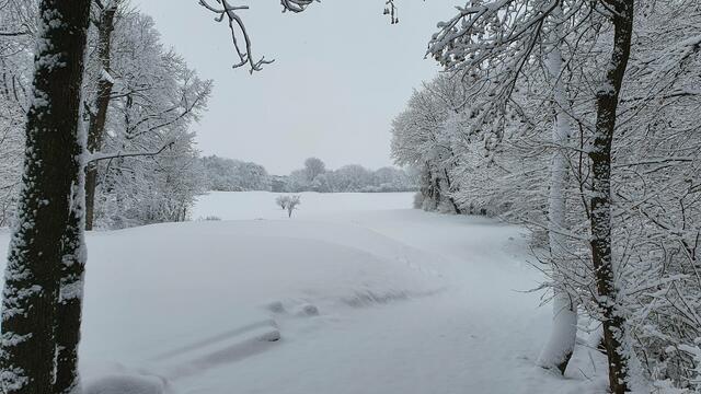 Schöner Schnee hier bei uns im Bezirk. Ich kann mich noch gut erinnern: 9.12.2021. | Foto: Philipp Steinriegler