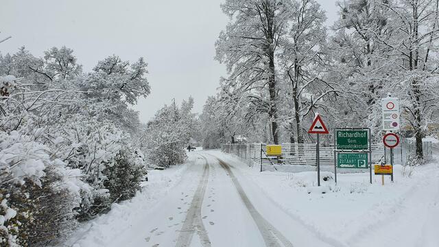 Viel Schnee damals | Foto: Philipp Steinriegler
