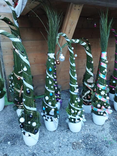 Foto: Veronika Frank