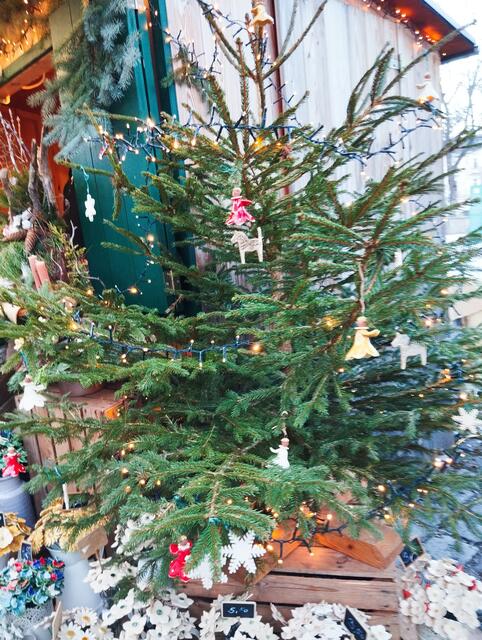 Foto: Veronika Frank