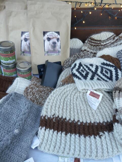 Foto: Veronika Frank