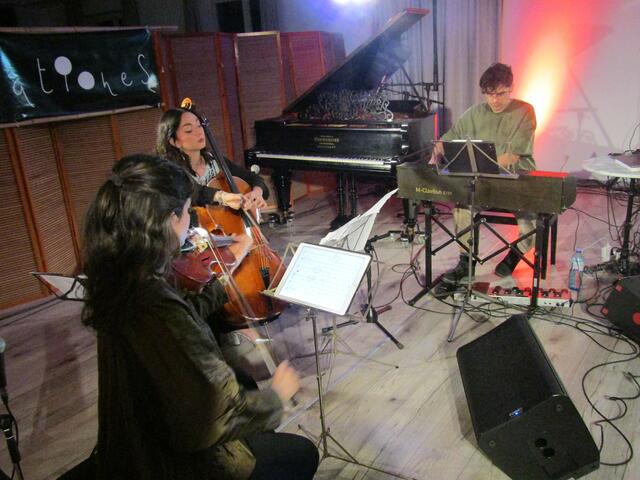 Das Trio Terrea