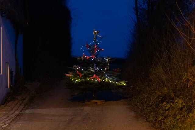 Foto: Regina Courtier