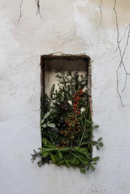 Foto: Regina Courtier