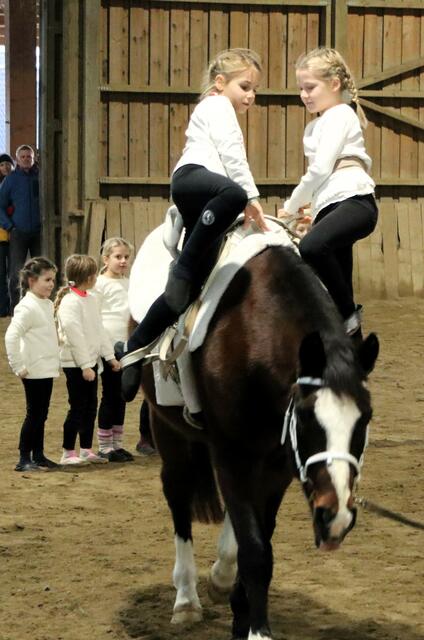 Zu zweit geht es gleich leichter | Foto: Gerhard Langmann