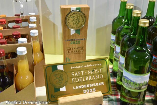 Foto: Gerald Dreisiebner