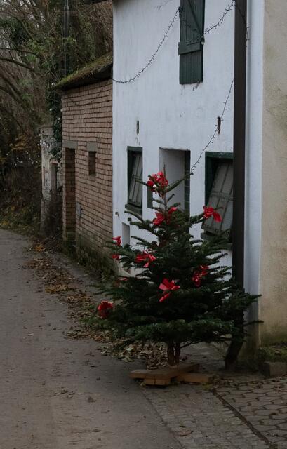 Foto: Regina Courtier