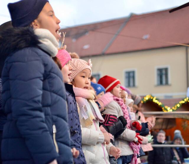 Foto: Sascha Trimmel