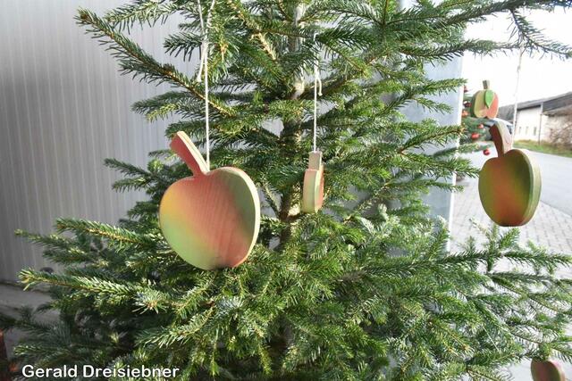 Foto: Gerald Dreisiebner