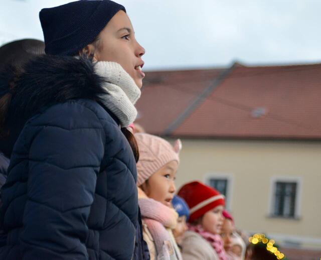 Foto: Sascha Trimmel