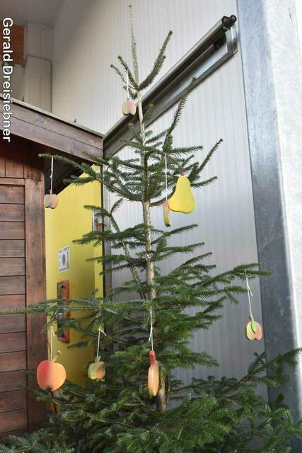 Foto: Gerald Dreisiebner