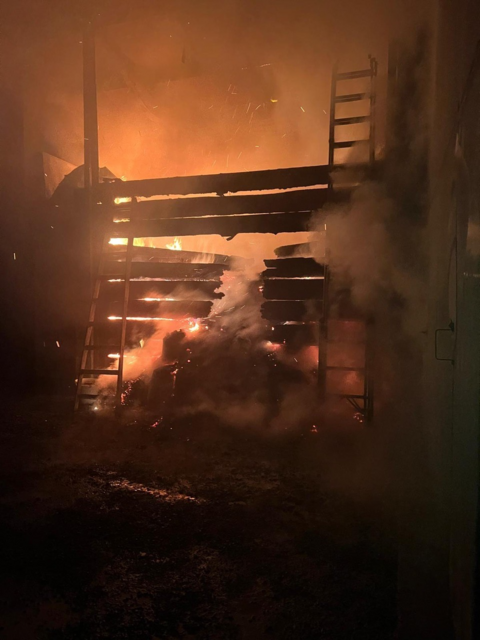 Gegen 5 Uhr Früh kam es zum Brand eines Hackschnitzelbunkers in Weigelsdorf. | Foto: Lenger