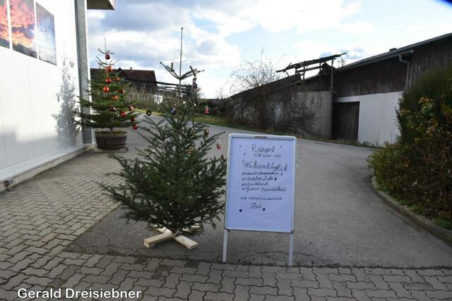 Foto: Gerald Dreisiebner