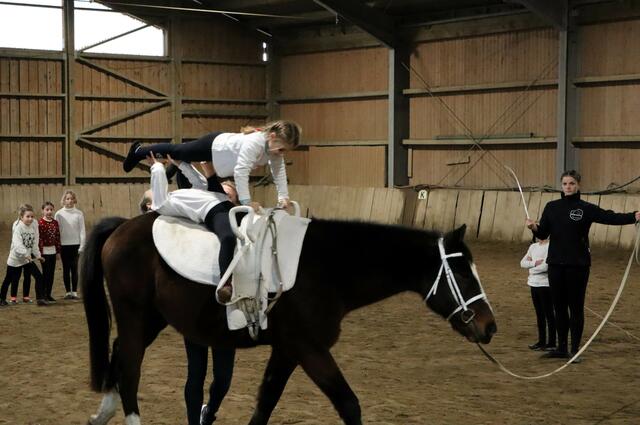 Die Übungen schauten spielerisch leicht aus | Foto: Gerhard Langmann