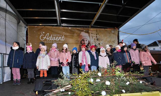 Foto: Sascha Trimmel