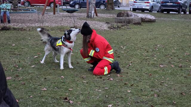 Es gab Einblicke in die Teamarbeit mit den Fellnasen

