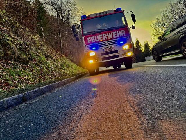 Foto: Feuerwehr Viktring - Stein / Neudorf