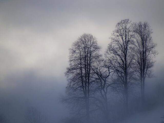 Zunächst prägt eine Hochdruckfront das Wetter in Tirol. Es bleibt weiterhin, sobald sich Wolken und Nebel aufgelöst haben sonnig und mild. Aus heutiger Sicht ist erst ab Donnerstagabend mit einer Wetterverschlechterung zu rechnen. | Foto: Franz Reiter (Symbolbild)