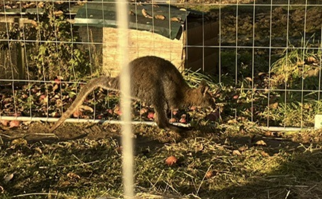 Foto: zVg