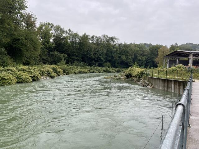 Der Uferweg entlang der Ager hinter den Firmen Vendo und EW-Bau wurde beim Hochwasser im September 2024 beschädigt und muss saniert werden. | Foto: Rabl