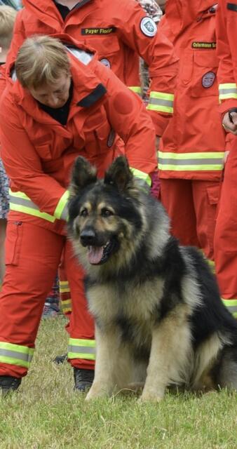 Foto: ÖRHB Staffel Weiz