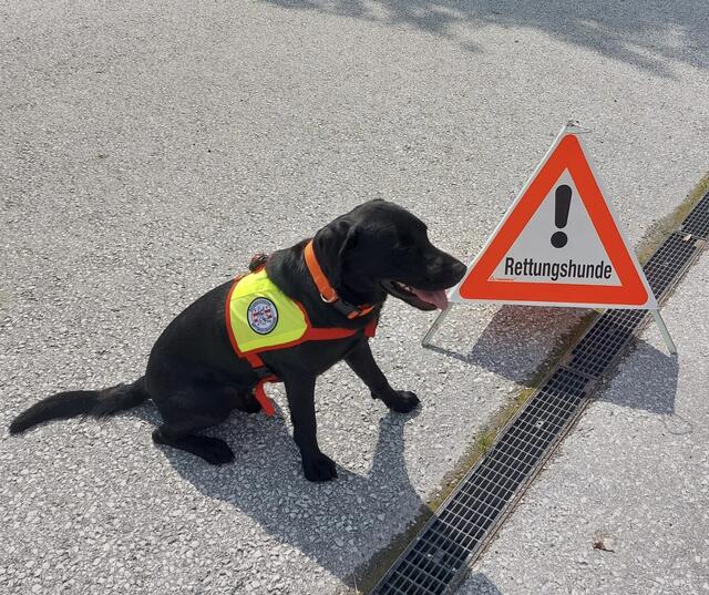 Foto: ÖRHB Staffel Weiz