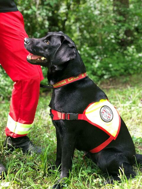 Foto: ÖRHB Staffel Weiz