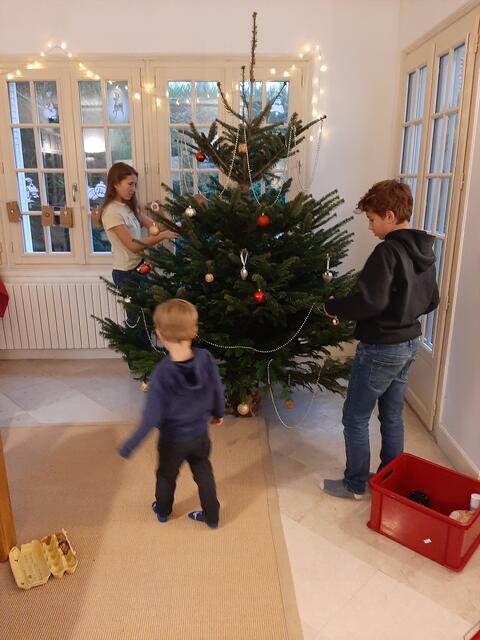 Der Christbaum wird von der ganzen Familie gemeinsam schon zu Adventbeginn geschmückt. Wagners drei Kinder sind in Wien geboren, aufgewachsen in Serbien und Frankreich. 
 | Foto: Wolfgang Wagner