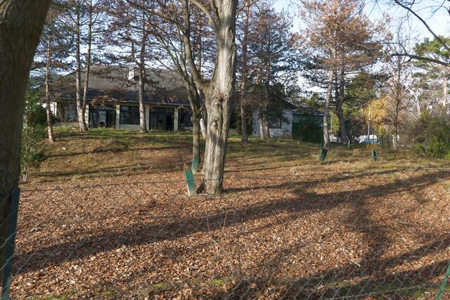 Kommt hier, am Rande des Napoleonwalds, ein "Monsterbau" oder nicht? Diese Frage ist noch immer offen.  | Foto: Max Spitzauer/MeinBezirk