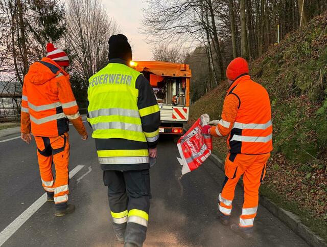 Foto: Feuerwehr Viktring - Stein / Neudorf