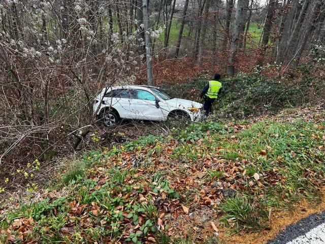 Durch den Aufprall wurde eines der Fahrzeuge in den angrenzenden Graben im Wald geschleudert.  | Foto: DOKU-NÖ