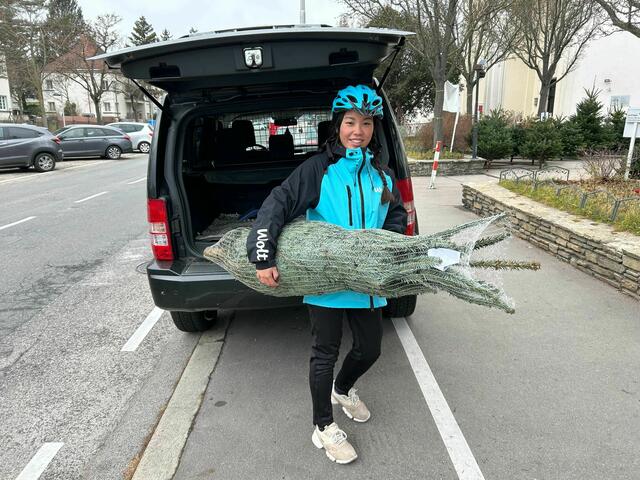 Neues Service in der Adventzeit: Lieferdienst Wolt bringt Christbäume auf Anfrage direkt vor die Haustür.  | Foto: Wolt