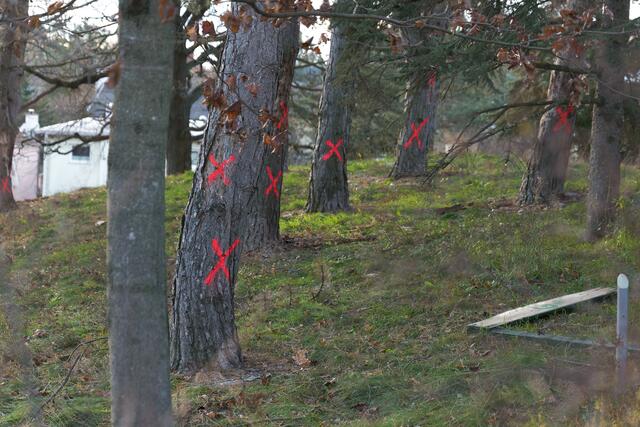 Foto: Max Spitzauer/MeinBezirk