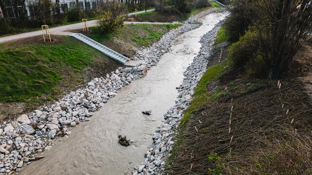 Bereits 9,2 Kilometer des Liesingbaches wurden renaturiert. | Foto: Enjoythesoup