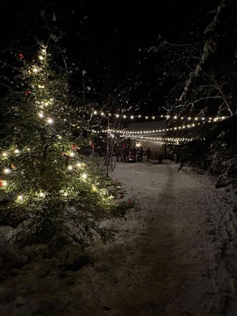 Foto: FF Gamsforst und Veronika Frank