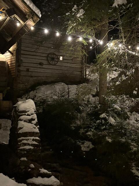 Foto: FF Gamsforst und Veronika Frank