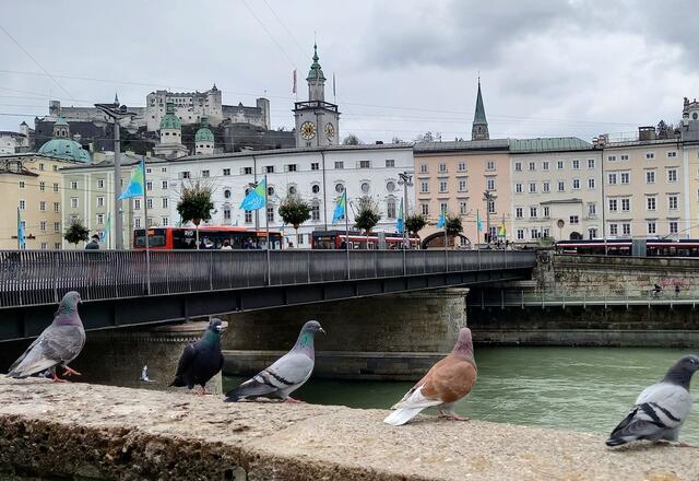 Die Entwürfe für die Flaggen auf der Staatsbrücke können bis 25. Februar 2025 eingereicht werden.  | Foto: H.Bachinger 