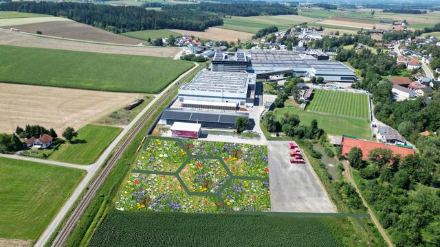 Das "Bee-O Lab" ist gerade im Entstehen. | Foto: Fill