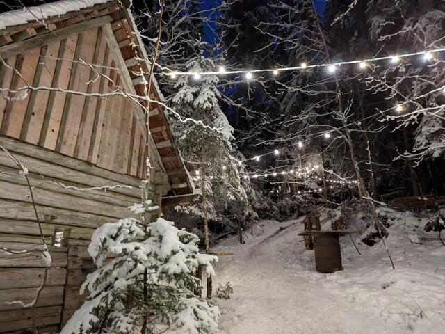 Foto: FF Gamsforst und Veronika Frank