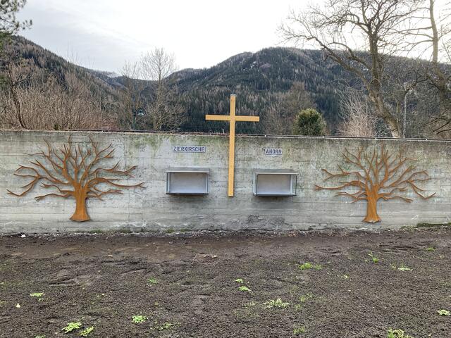 "Die Idee des Baumfriedhofs kommt bei den Bürgern gut an. Immer mehr Menschen wünschen sich eine umweltfreundliche und persönliche Bestattungsform", so der Bürgermeister. | Foto: Karl Dobnigg