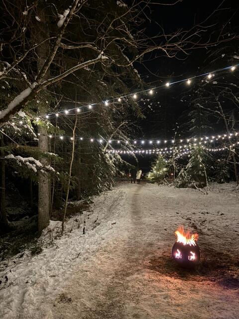 Foto: FF Gamsforst und Veronika Frank