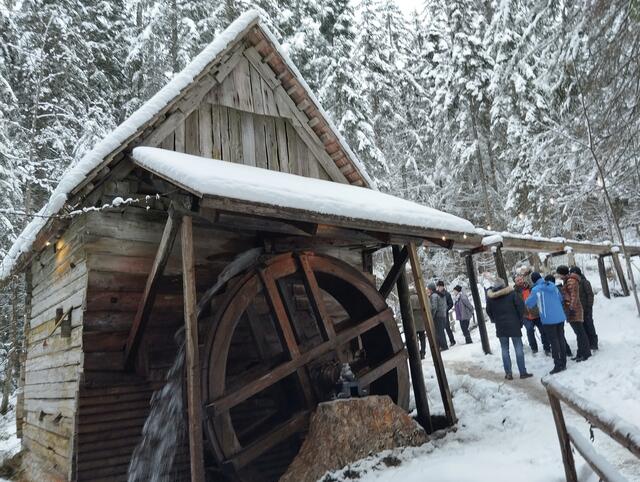 Foto: FF Gamsforst und Veronika Frank