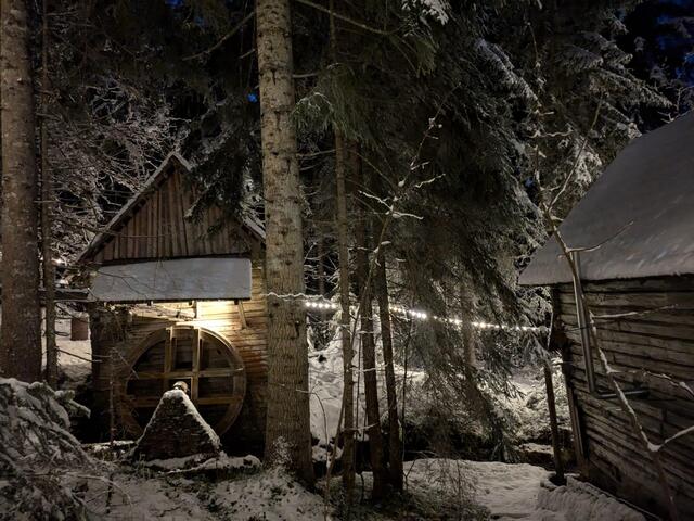 Foto: FF Gamsforst und Veronika Frank