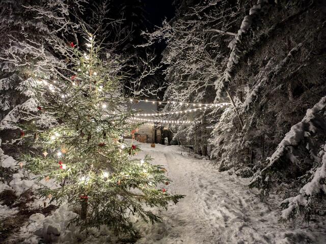 Foto: FF Gamsforst und Veronika Frank