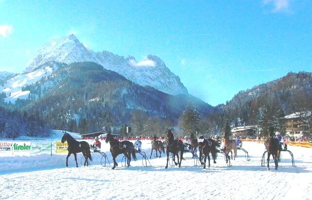 Rassiger Pferdesport am Fuß des "Koasa". | Foto: Veranstalter