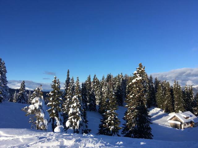 Der Villacher Hausberg "Dobratsch" im winterlichen Festtagsgewand!