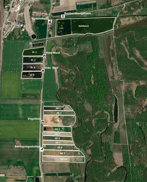 Der Lebensraum für viele Wildtiere rund um die alte Zuckerfabrik in Hohenau. | Foto: Elisabeth Bendl